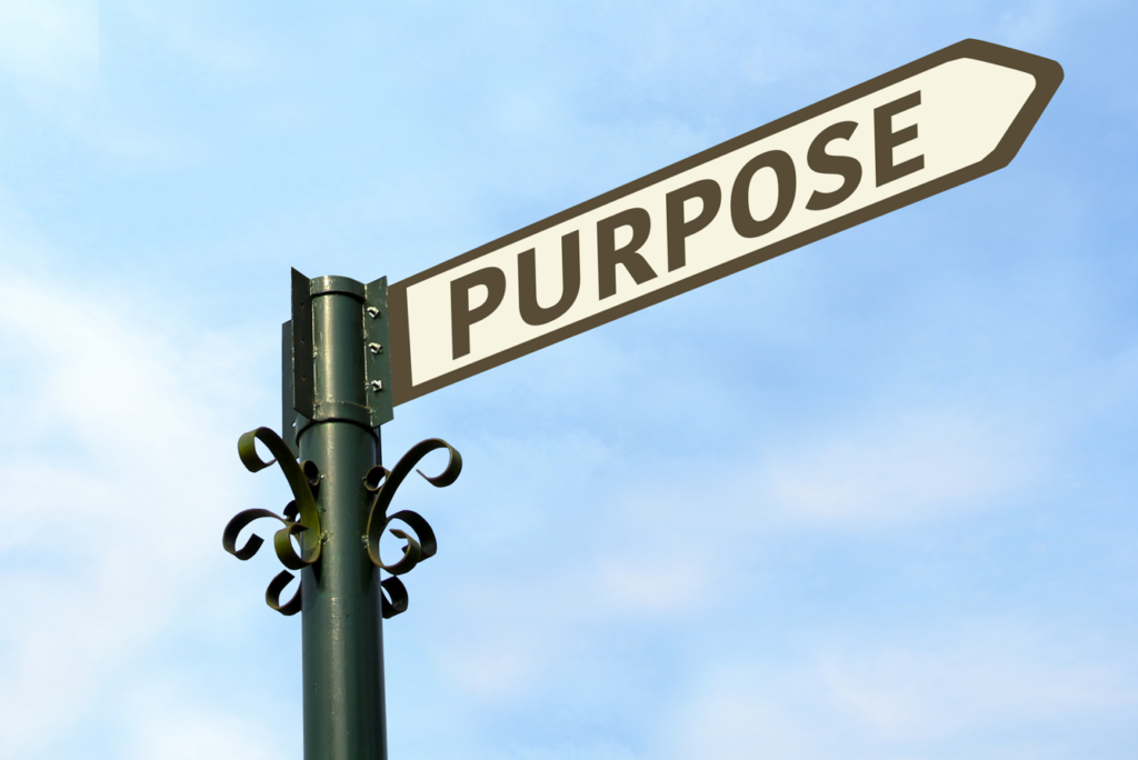 Intended Purpose